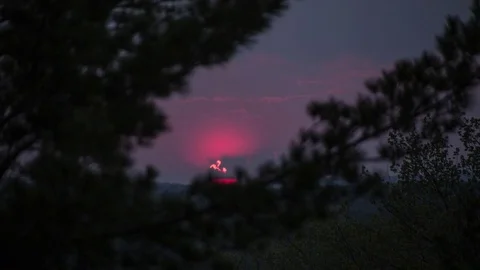 Solar disk behind clouds and branch Stock Footage 72822746