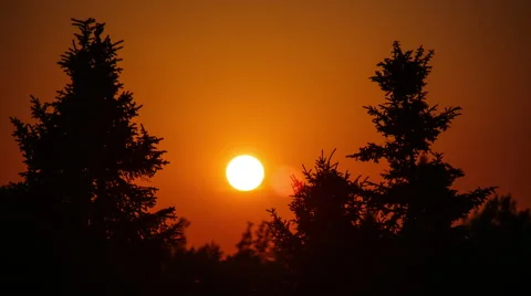 Solar disk setting between trees Stock Footage 40430887