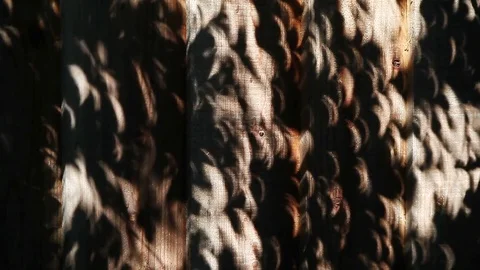 Solar eclipse 2017 fence shadows Stock Footage 81746679