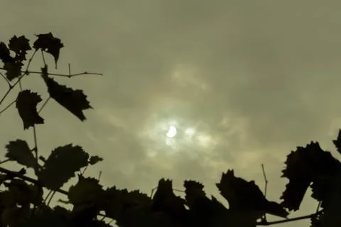 Solar eclipse. astronomical phenomenon. the moon partially covers the sun. gr Stock Photos