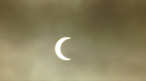Solar Eclipse C06 Bird Stock Footage 11103224