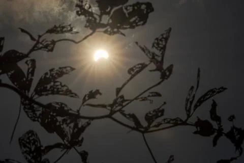 Solar Eclipse with Clouds in the Sky Stock Photos