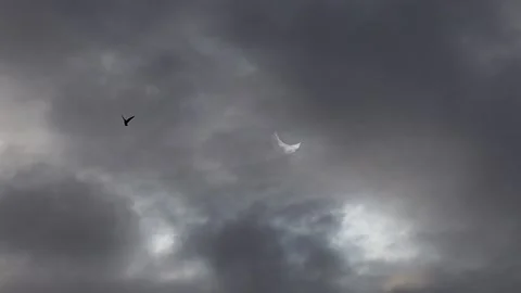 A solar eclipse in cloudy weather through a cloud. partial solar eclipse. Stock Footage 227403768