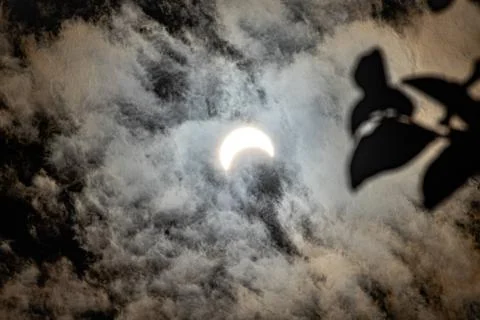 Solar eclipse happen morning time between 10 to 2:30 Stock-Fotos