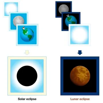 Solar Eclipse Lunar Eclipse Comparison Illustrazione stock