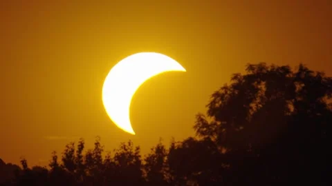 Solar eclipse observed in a clear sky over a horizon with trees during daytime Stock Footage 342177243