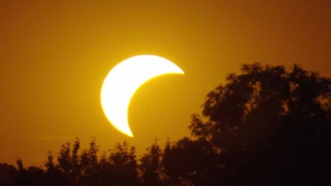 Solar eclipse observed over a landscape with trees in the background Stock Footage 343397210