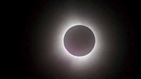 Solar Eclipse Totality Event 2024 Stock Footage 271394209