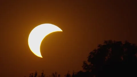 Solar eclipse viewed from a location with trees in the foreground Stock Footage 343397370
