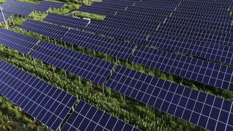 Solar Farm Blue Panels Agrivoltaic Aerial Pan Right Clean Energy 库存影片 343147000
