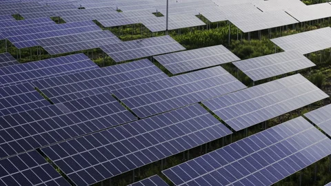 Solar Farm Blue Panels Array Clean Energy Forward 库存影片 343150174