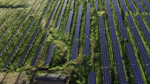Solar Farm Blue Panels Clean Energy Aerial Forward Wide Angle Stockbeeldmateriaal 343153243
