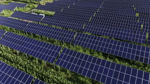 Solar Farm Blue Panels Clean Energy Stockbeeldmateriaal 343154665