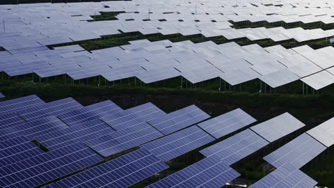 Solar Farm Blue Panels Clean Energy Reflection Stockbeeldmateriaal 343155662