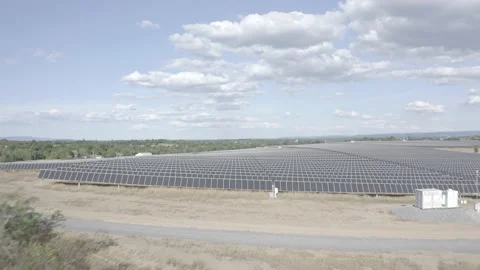 Solar farm: flying over fields, trees, rows solar panels (ungraded, log gamma) Stock Footage 153929341