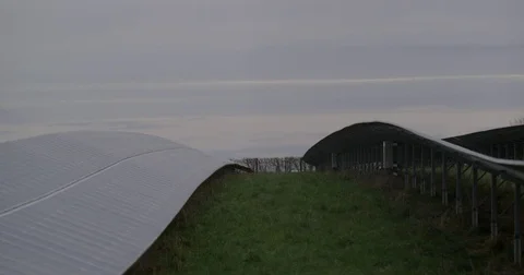 Solar Farm Stock Footage 74111967