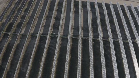 Solar farm: side movement overhead rows of solar panels (ungraded, log gamma) Stock Footage 153929340