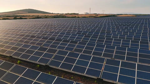 A solar farm at summer evening Stock Footage 165306372