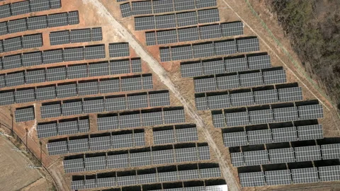 Solar Farm units environment producing renewable energy Aerial View, South Korea Stock Footage 229907700