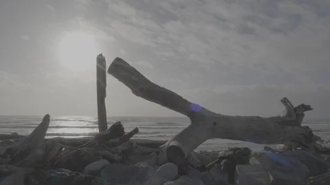 Solar Flare Beach 4k Video stock 124507649