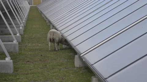 Solar heating plant Stock Footage 76191508