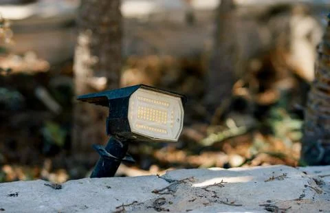 Solar LED Garden Spotlight Installed Along Stone Border in Outdoor Landscape 库存照片