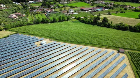 Solar module arrays in a fenced field near vineyards, high-angle drone view Video stock 319406908