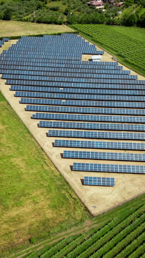 Solar module arrays in a fenced field near vineyards, high-angle drone view Video stock 328999002