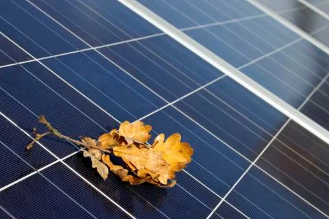 Solar modules in autumn Stock Photos