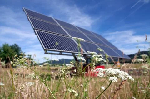 Solar panel and flower Stock-Fotos