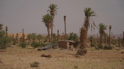 Solar Panel and Mud Brick Hut in a Morocco Desert Palm Oasis Stock Footage 340595895