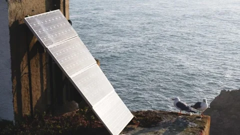 Solar panel and seagulls on Atlantic cliff, Berlenga Island, Portugal Stock Footage 320639087