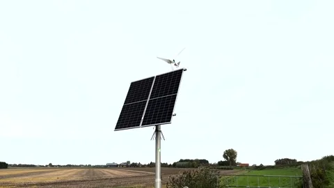 Solar panel and small wind turbine powering street light on pole Stock Footage 220126629