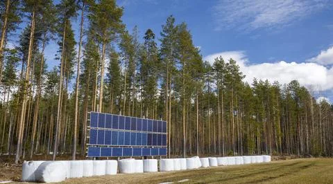 Solar panel array and stored cattle feed bales at the forest edge, Finland Stock Photos