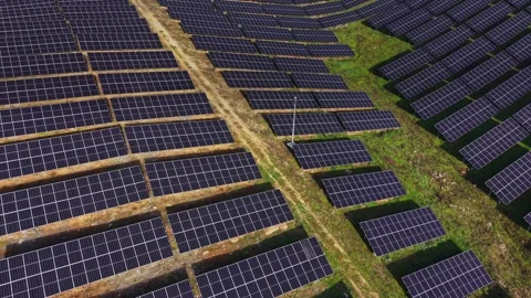 Solar panel array captures energy on a sunny day in a green field 库存影片 329999186