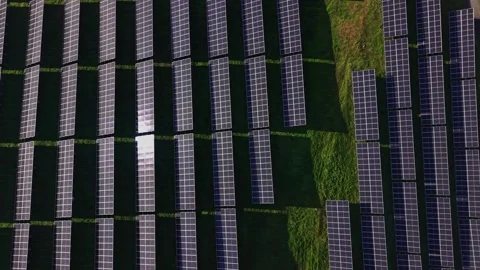 Solar panel array covers land in a large field during daylight hours Stock-Footage 329999673