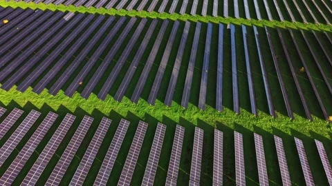 Solar panel array fields shine under sunlight in open landscape Stock Footage 325090300