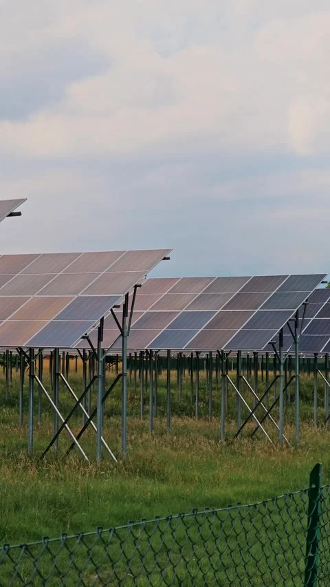 Solar panel array in green field producing renewable electricity Vídeo Stock 343787024