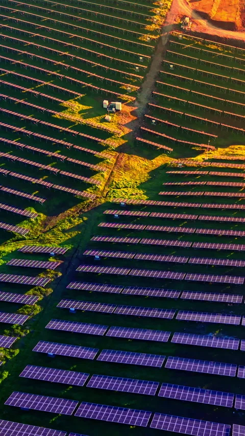 Solar panel array rows in field, Bulgaria Vertical video. Stockbeeldmateriaal 342941042