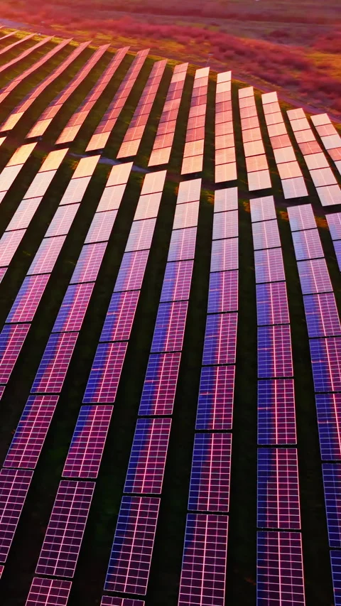 Solar panel array rows at golden hour sunset Vertical video. Stock Footage 332347454