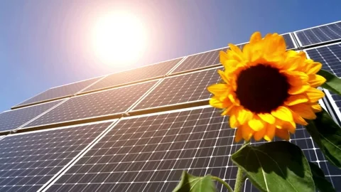 Solar Panel eco system. Alternative energy generation, ecological concept Stock Footage 254098914