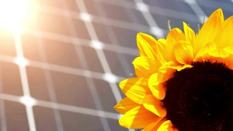 Solar Panel eco system. Alternative energy generation, ecological concept Stock Footage 254101731