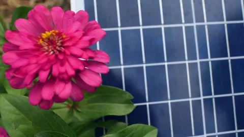 Solar Panel eco system. Alternative energy generation, ecological concept Stock Footage 254103704