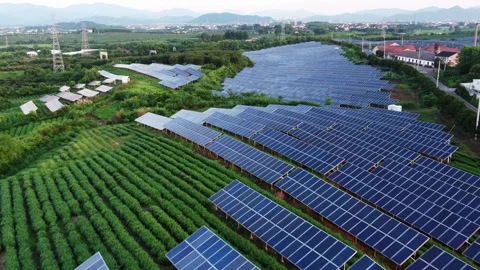 Solar Panel eco system. Alternative energy generation, ecological concept Stock Footage 254103727