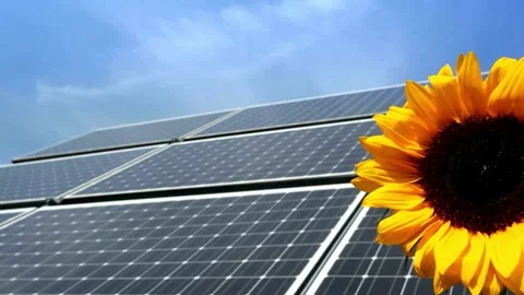 Solar Panel eco system. Alternative energy generation, ecological concept Stock Footage 254103990