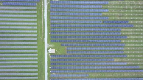 Solar Panel eco system. Alternative energy generation, ecological concept Stock Footage 254104781