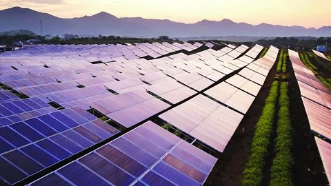 Solar Panel eco system. Alternative energy generation, ecological concept Stock Footage 254105890