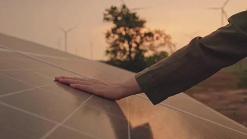 Solar Panel eco system. Alternative energy generation, ecological concept Stock Footage 254106017
