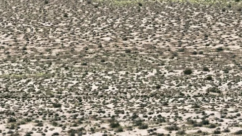 Solar Panel Farm Desert Drone Aerial Footage Stock Footage 335393026