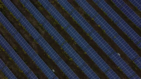 Solar Panel Farm England Sunset 4K Drone Close Stock-Footage 200752659
